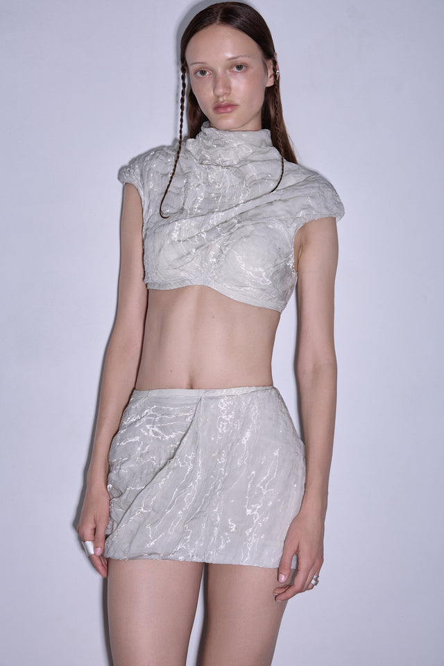 Organza Skirt
